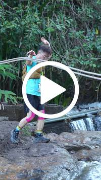 BIB:  <button type="button" onclick="openModal(27706682)" class="btn btn-primary btn-sm float-right" data-toggle="modal" data-target=".modal-high-quality">
                <i class="fa fa-download"></i> Download
                </button>